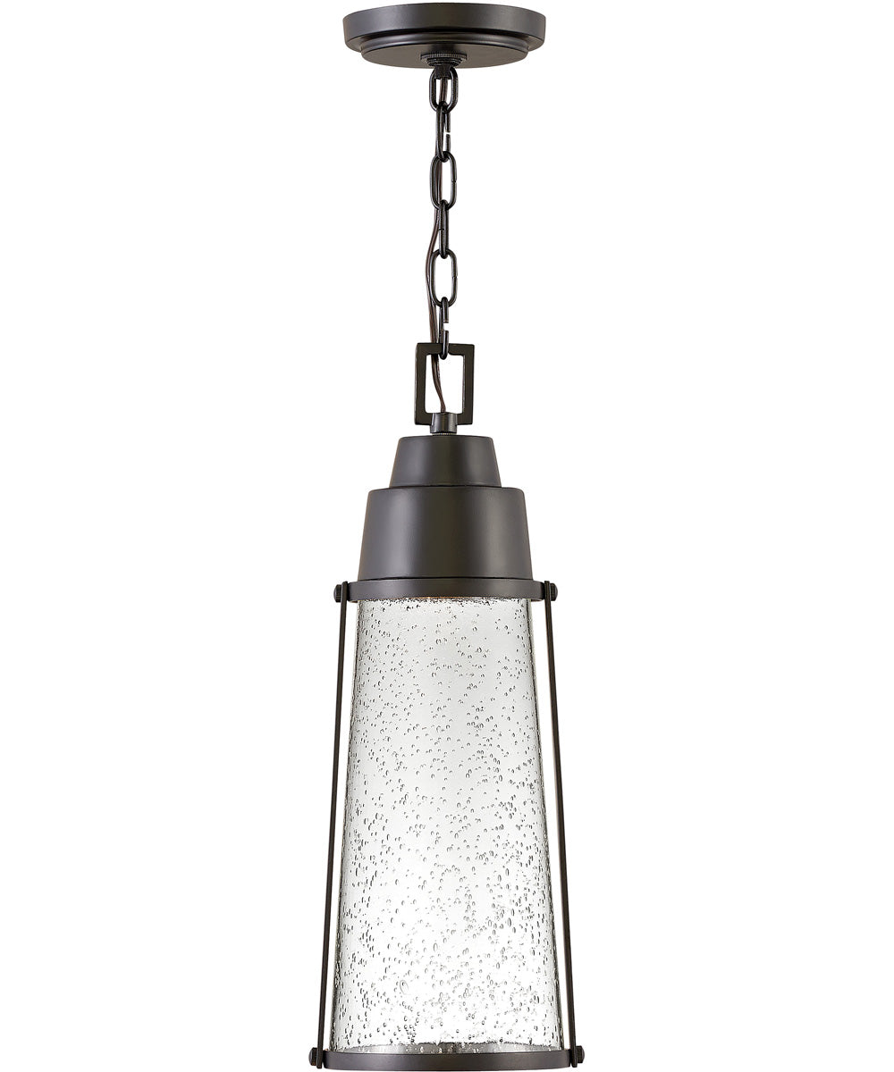 Miles 1-Light Medium Outdoor Hanging Lantern in Black