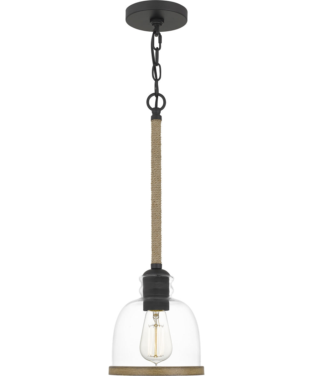 Wagner Small 1-light Mini Pendant Matte Black