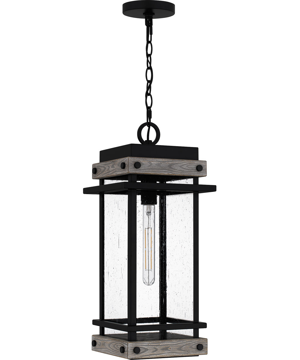 Strader Large 1-light Outdoor Pendant Light Matte Black