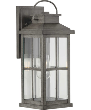 Williamston 1-Light Clear Glass Transitional Style Large Outdoor Wall Lantern Antique Pewter