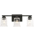 Gilmour 3-Light Modern Farmhouse Clear Glass Bath Vanity Light Matte Black