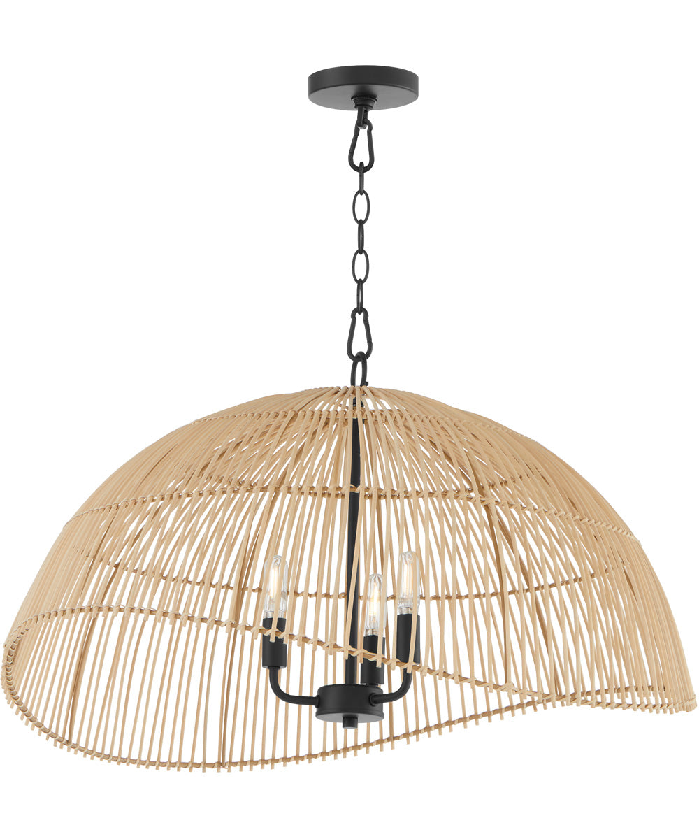 3-light Pendant Matte Black