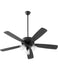 Ceiling Fans with Remotes
