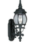 Onion Lantern 1-Light Wall Lantern Textured Black
