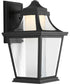 Endorse 1-Light Medium Wall Lantern Textured Black