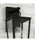 Elliott 1-Light Outdoor Wall-Lantern Rain or Shine - Black