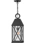 Briar 1-Light Large Outdoor Hanging Lantern in Museum Black