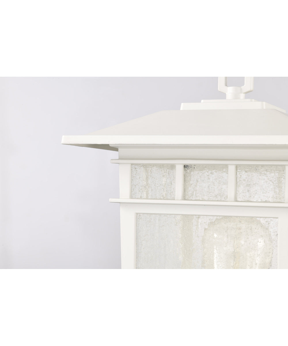 Cove Neck 1-Light Outdoor White