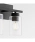Carter 2-light Bath Vanity Light Matte Black