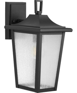Padgett 1-Light Transitional Clear Seeded Glass Outdoor Wall Lantern Textured Black
