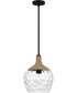 Quoizel Piccolo Pendant 1-light Mini Pendant Matte Black