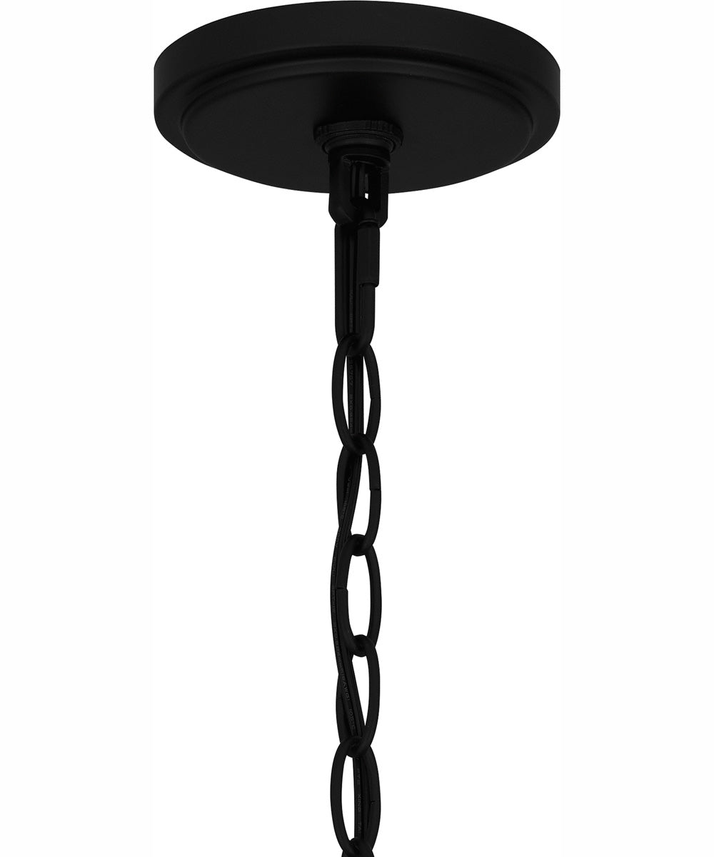 Satterfield Large 1-light Outdoor Pendant Light  Coastal Armour Matte Black