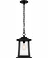Satterfield Large 1-light Outdoor Pendant Light  Coastal Armour Matte Black
