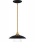 Fayette 1-light Mini Pendant Earth Black