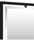 Quoizel Reflections Large Mirror Matte Black