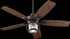 52"W Galveston 1-Light Indoor/Outdoor Ceiling Fan with Light Kit Oiled Bronze