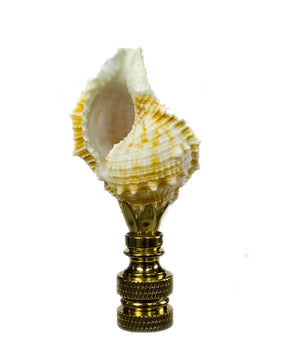 Bursa Sea Shell Lamp Finial with Polished Brass Base 2.25"h