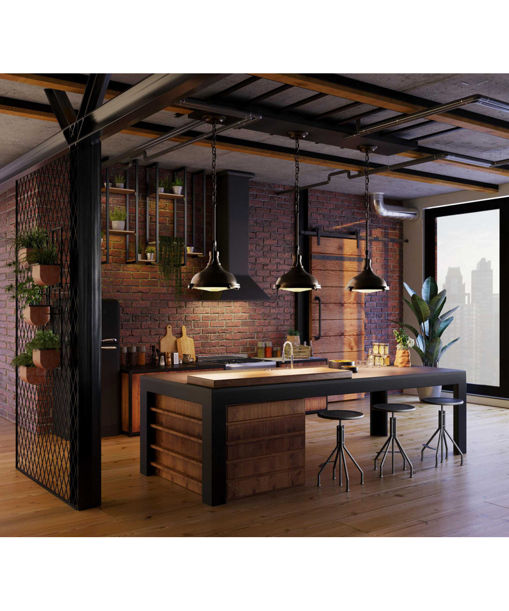 Fresnel Lens 1-Light Fresnel Glass Coastal Pendant Light Oil Rubbed Bronze