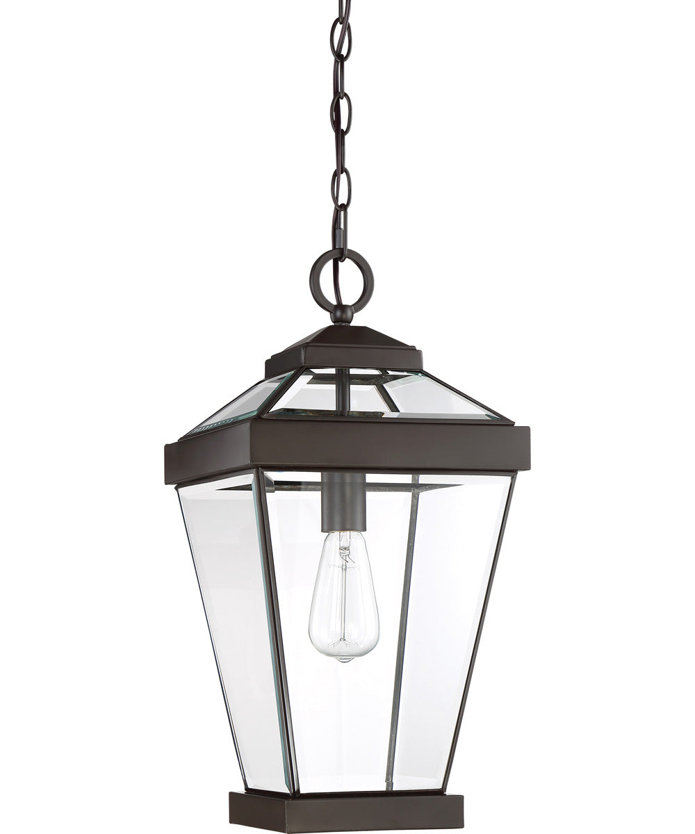 Ravine Small 1-light Mini Pendant Western Bronze