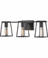 Filmore 3-Light Three Light Vanity in Black