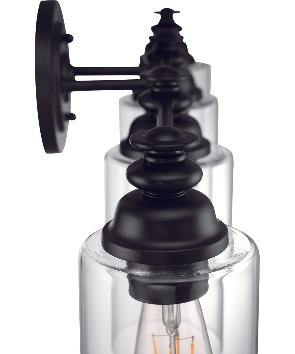 Dardyn 4-Light Vanity Flat Black