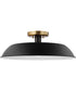 Colony 1-Light Close-to-Ceiling Matte Black / Burnished Brass