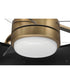 Taylor 24" 1-Light Ceiling Fan (Blades Included) Flat Black/Satin Brass