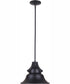 Union 1-Light Pendant Midnight