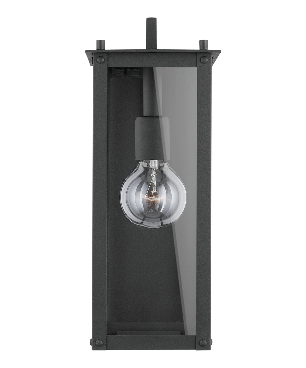 Hunt 1-Light Outdoor Wall Mount Rain or Shine - Black with Clear Glass