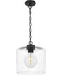 Abner Small 1-light Mini Pendant Matte Black