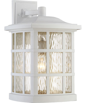 Stonington Extra Large 1-light Outdoor Wall Light  Coastal Armour White Lustre