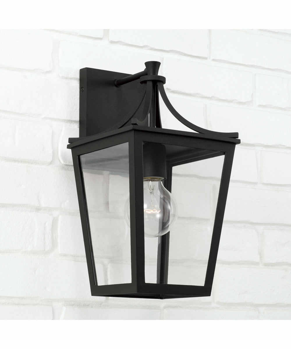 Adair 1-Light Outdoor Wall-Lantern Rain or Shine - Black