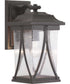 Abbott 1-Light Medium Wall Lantern Antique Bronze