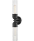 Soren 2-Light Large Sconce in Black