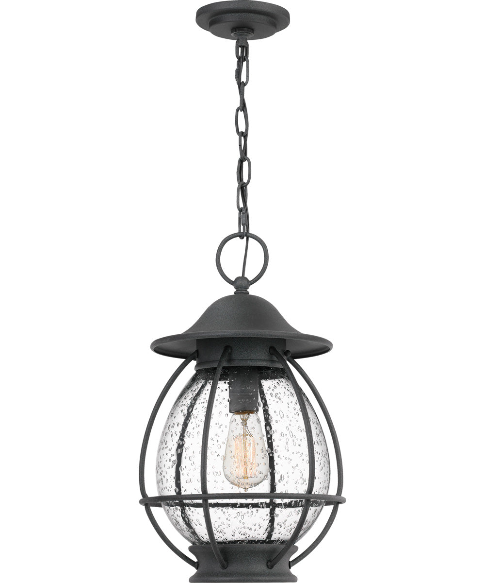Boston Large 1-light Outdoor Pendant Light Mottled Black