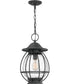 Boston Large 1-light Outdoor Pendant Light Mottled Black