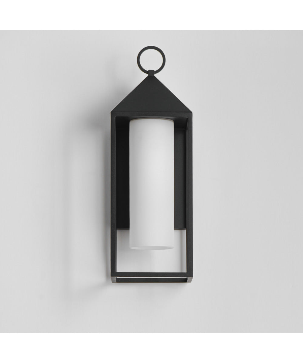 Aldous 1-Light Large Outdoor Sconce Black