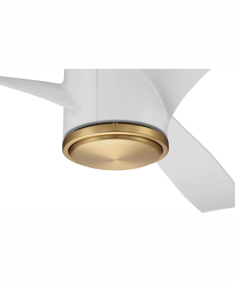 60" Phoebe 1-Light Indoor/Outdoor Ceiling Fan Satin Brass