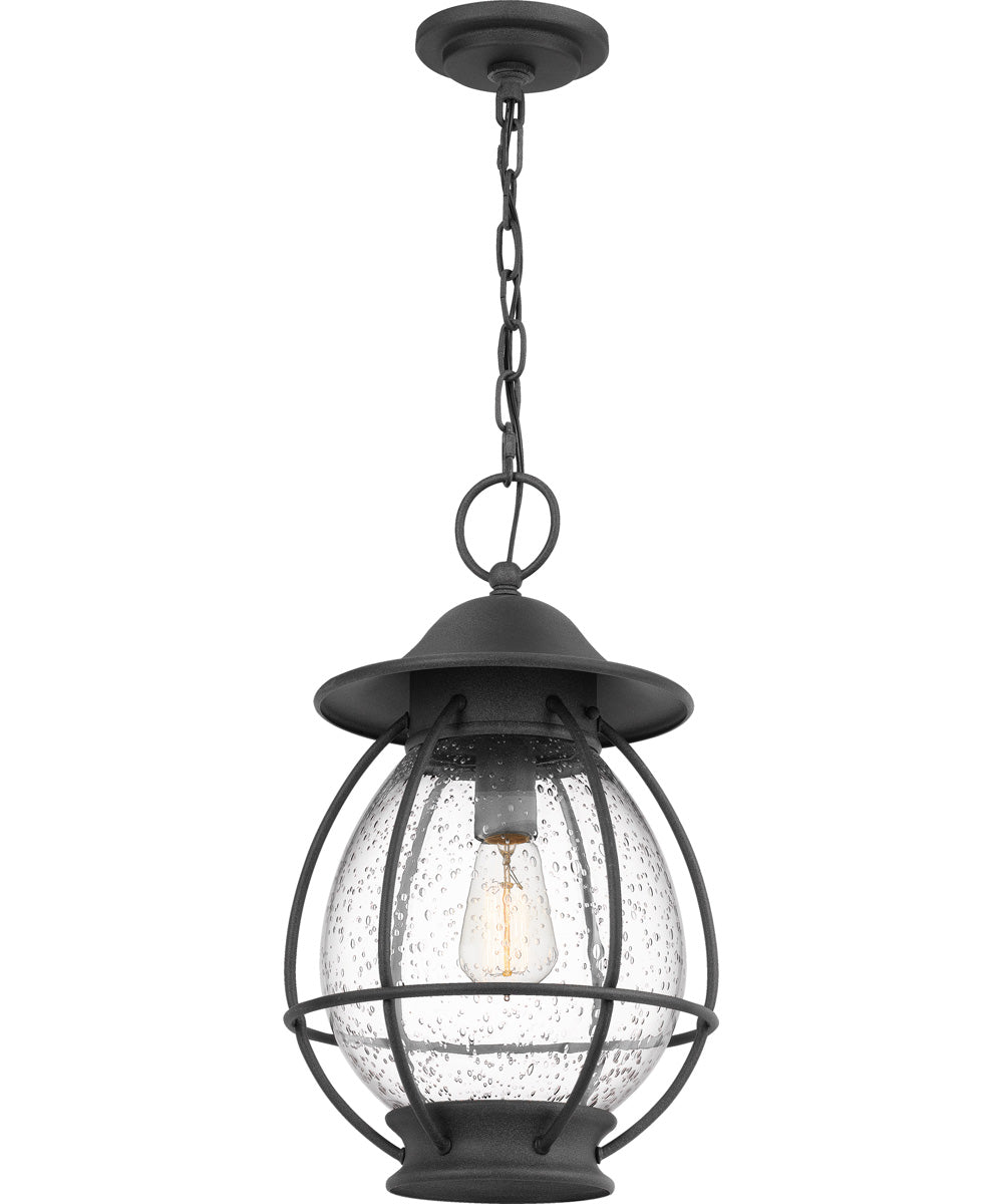Boston Large 1-light Outdoor Pendant Light Mottled Black