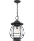 Boston Large 1-light Outdoor Pendant Light Mottled Black