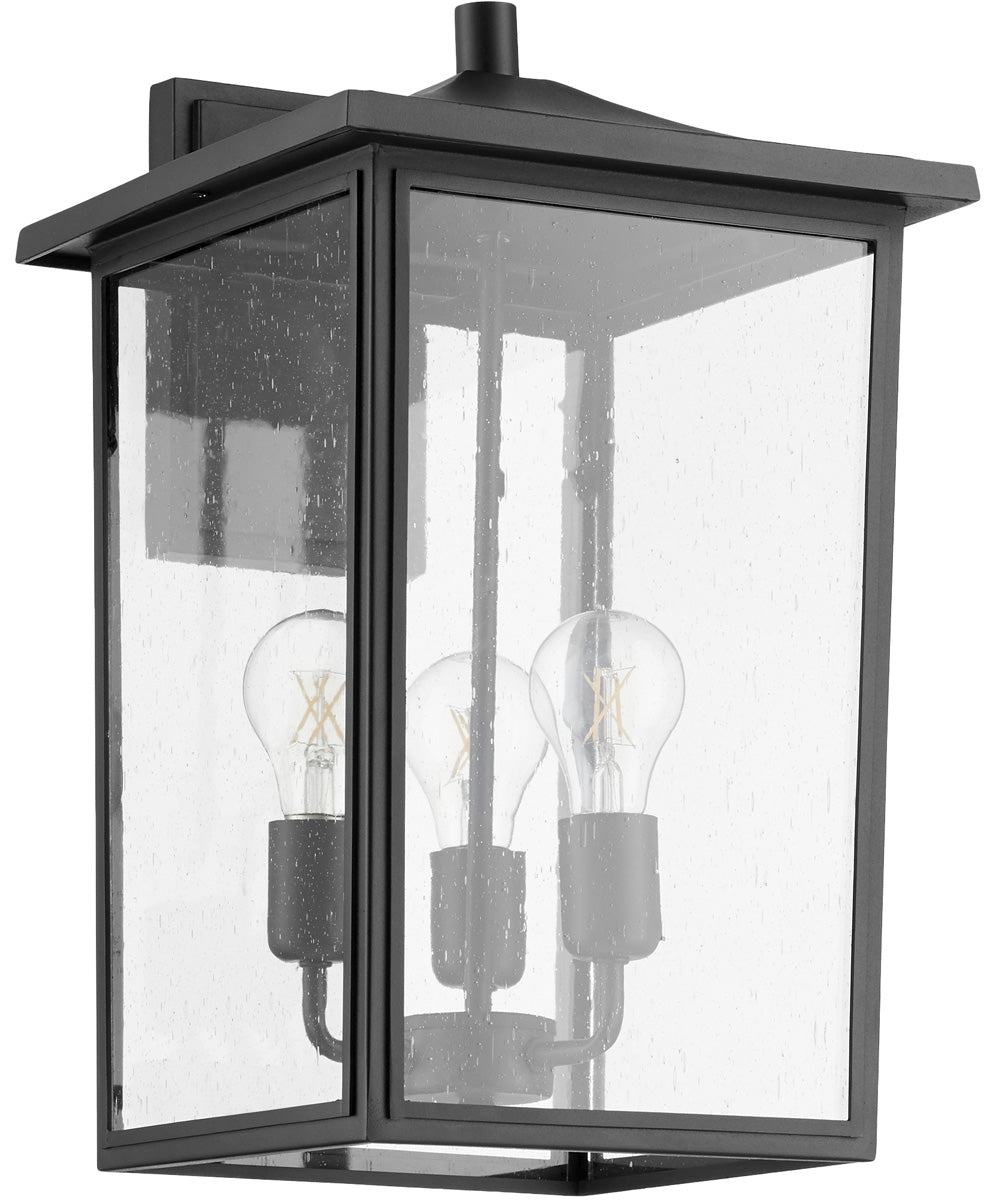 11"W Riverside 3-light Wall Mount Light Fixture Noir