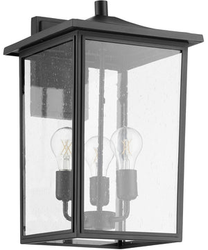 11"W Riverside 3-light Wall Mount Light Fixture Noir