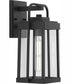 Walcott 1-Light Modern Farmhouse Outdoor Medium Wall Lantern Textured Black
