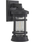 Resilience Lanterns 1-Light Outdoor Lantern Textured Black