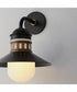 Admiralty 1-Light Outdoor Wall Sconce Black / Antique Brass