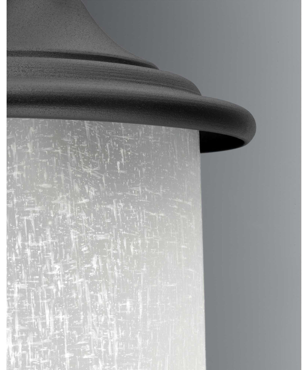 Essential 1-Light Medium Wall Lantern Textured Black