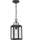 Grandbury 1-Light Transitional Clear Glass Outdoor Hanging Light Antique Bronze