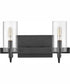 Ryden 2-Light Two Light Vanity in Black