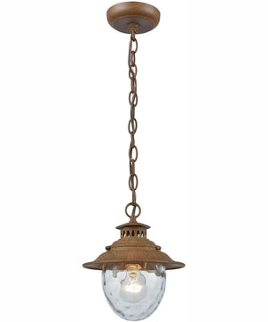 Searsport 10'' High 1-Light Outdoor Pendant - Brown