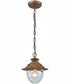 Searsport 10'' High 1-Light Outdoor Pendant - Brown